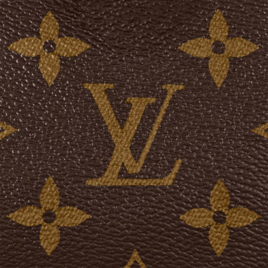 Nano Speedy Monogram Canvas