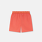 GRECA BORDER BOARDSHORTS