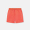 GRECA BORDER BOARDSHORTS