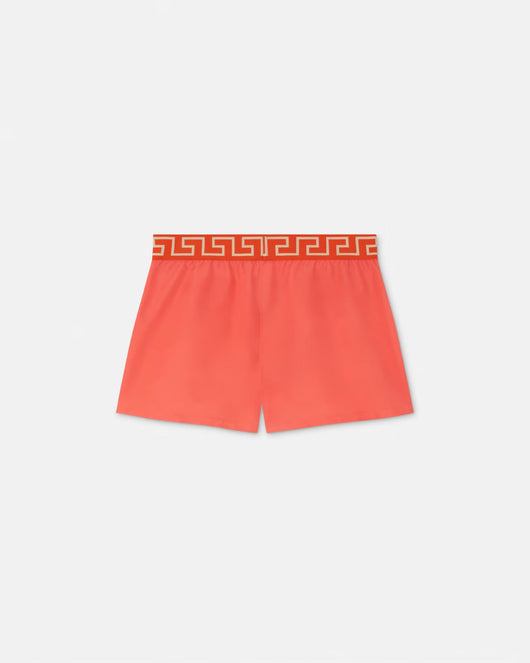 GRECA BORDER SWIM SHORTS