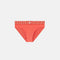 GRECA BORDER SWIM BRIEFS