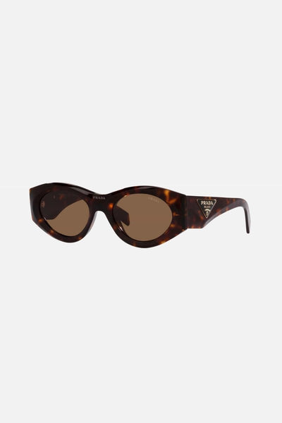 Prada PR20ZS havana bold oval sunglasses - Lux Studios
